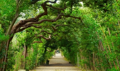 Giardino di Boboli - Firenze